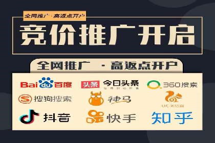 百度推广的成功案例：从零到一的突破